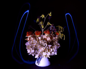 Home made dry flower pot isolated on black background with light streaks
