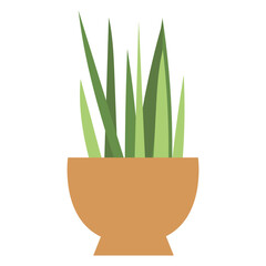 plant in pot vector