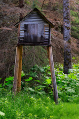 A cache in the Woods in Kenai National Wildlife Refuge, Soldotna, Alaska