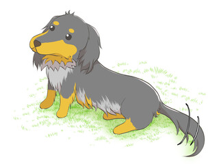 ミニチュアダックス6