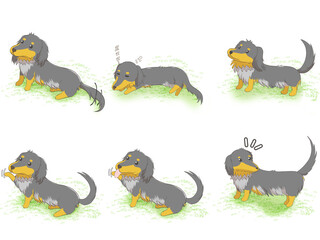 ミニチュアダックス