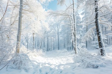Winter white forest with snow Christmas background