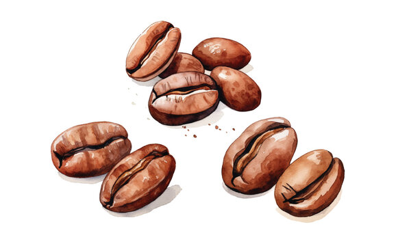 coffee beans isolated vector on white background 