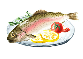 Fresh fish rainbow trout (Oncorhynchus mykiss).  Hand drawn watercolor illustration,  isolated on white background