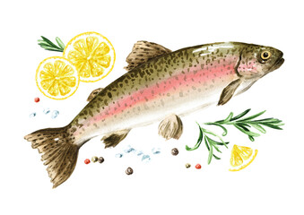 Fresh fish rainbow trout (Oncorhynchus mykiss). Hand drawn watercolor illustration, isolated on white background