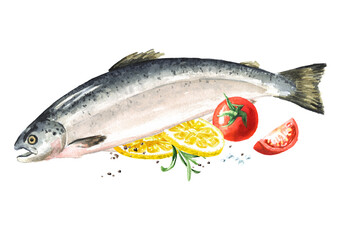 Fresh fish Salmon. Hand drawn watercolor illustration,  isolated on white background