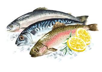 Fresh raw fish on the ice. Seafood concept Hand drawn watercolor illustration,  isolated on white background