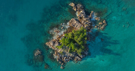 Fototapeta na wymiar Tropical island with sea and palm taken from drone. Seychelles aerial photo. St Pierre Island