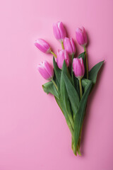 Pink and white tulips on pink background and copy space.