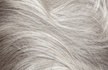 Blond hair close-up as a background. Women's long blonde hair. Beautifully styled wavy shiny curls....