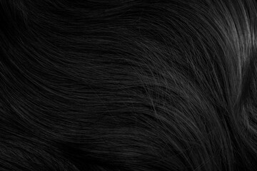 Brunette or black hair. Female long dark hair in black. Beautifully laid curls. Closeup texture in a dark key. Hairdressing, hair care and coloring. Shading gray hair. Background with copy space.