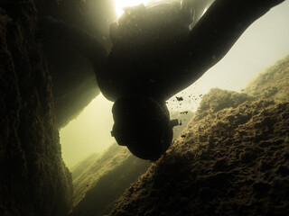 Freediver's head hitting underwater rock