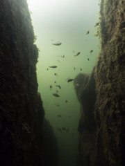 Cracked underwater rock with fish swimming above