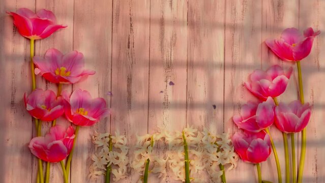 flowers on the wooden background