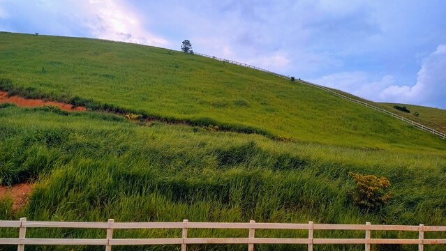 Farm land with green lawn