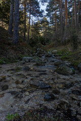 Obraz premium curso de agua de la ducha de los alemanes Guadarrama