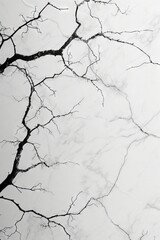Obraz premium Abstract chemogram, chemigram wallpaper, texture portraying a close up of a colored cracks and veins in the ground. desolate reminder of a harsh drought. 
