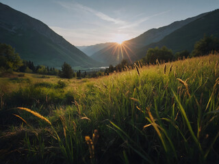 Nature landscape with country gardens and flowers in spring