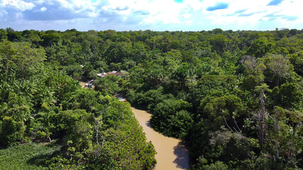 Fototapeta na wymiar Imagem aérea da Ilha das Cinzas, Arquipélago do Marajó, Pará, Brasil