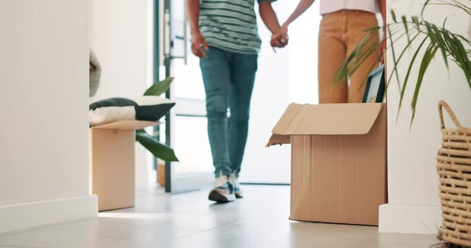 Couple, dog and boxes in new home with moving, holding hands and front door for fresh start at property. People, pet animal and cardboard package with investment, real estate and mortgage at house