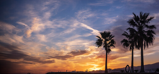 Majestic Sunset Silhouetting Palm Trees Against a Vivid Sky
