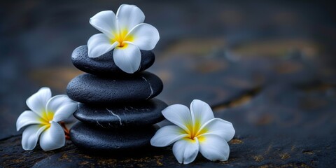 Obraz na płótnie Canvas Stacked Black Stones Beside White Plumeria Flowers In A Serene Composition