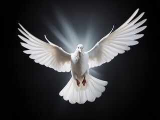 Fototapeta premium Dove in Flight Freedom and Hope Isolated on White Background AI Generated