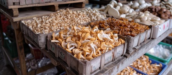 Various types of mushrooms, including clouded agaric, parazol mushroom, summer bolete, Suillus luteus, and Leccinum Rufum, can be found on the kitchen counter.