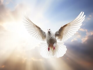 Obraz premium Dove in Flight Freedom and Hope Isolated on White Background AI Generated