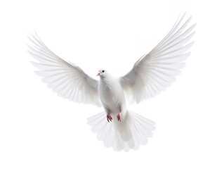 Obraz premium Dove in Flight Freedom and Hope Isolated on White Background AI Generated