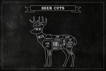 Deer meat cuts on black chalkboard background