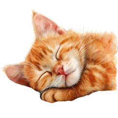 A sleeping cute fur cat in watercolor style with transparent background 