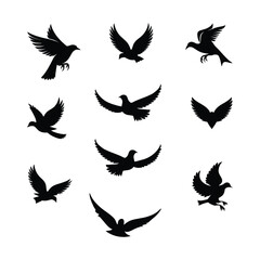 Beautiful vector silhouette bird.