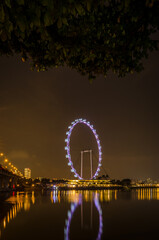 Obraz premium Singapore Ferris Wheel during night with reflection of its lights on water.