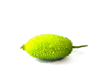 Spiny gourd or spine gourd also known as bristly balsma pear, prickly carolaho isolated on white background.