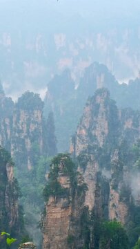 Famous tourist attraction of China - Zhangjiajie stone pillars cliff mountains in fog clouds at Wulingyuan, Hunan, China. Camera pan