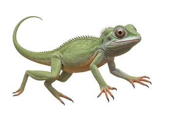 Obraz premium funny iguana animals in full body jumping through the picture isolated against transparent background