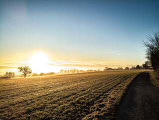 plowed field at sunset