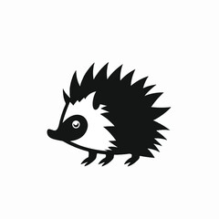 hedgehog on white