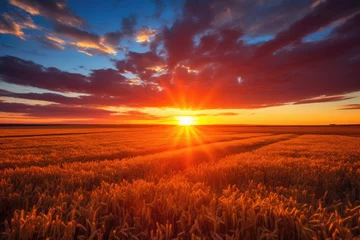 Behangcirkel A serene and picturesque scene of the sun setting over a field of wheat, creating a warm and golden glow on the tranquil landscape, Spectacular sunset over the field, AI Generated © Iftikhar alam