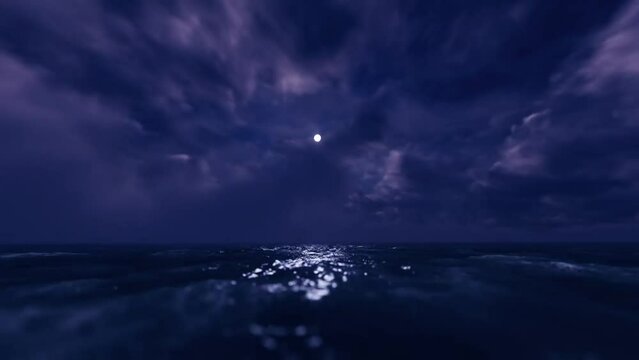 High-Speed Flight Over the Sea Surface at Night: Nocturnal Seafaring