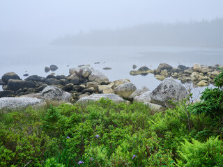 Low tide shallow harbor and marsh in rain fog and mist at Port Felix Nova Scotia - 727396548