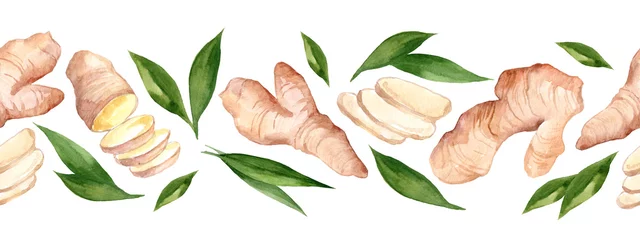 Fotobehang Watercolor seamless border with Ginger. Spices illustration isolated on white background. Botanical illustration for packaging and menu design © Tatyana Sidorova
