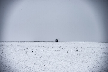 Field with snow . Blizzard over the fields . Forest in snowy weather. Road in snow . Trees covered snow . Blizzard weather 