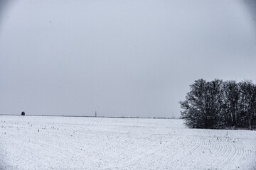 Field with snow . Blizzard over the fields . Forest in snowy weather. Road in snow . Trees covered snow . Blizzard weather 
