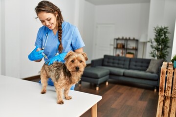 Young beautiful hispanic woman veterinarian vaccinating dog at home