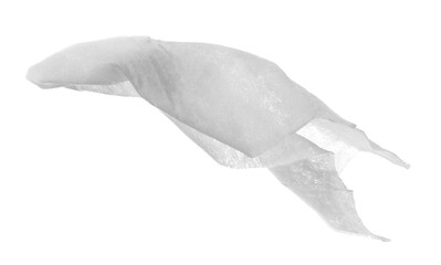 White disposable wet wipes isolated, clipping