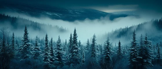 Papier Peint photo autocollant Forêt dans le brouillard Snow-Covered Forest Brimming With Trees