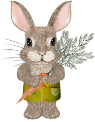 putziges Kaninchen mit Karotte und Shorts