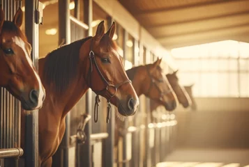 Tuinposter Horses peering out from stable boxes. Concept of equine care, stable management, horse breeding, animal housing, sports equestrian club, farm life, equine curiosity. © Jafree